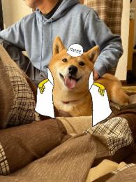 プロフ画像