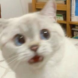 プロフ画像