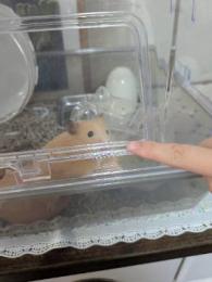 プロフ画像