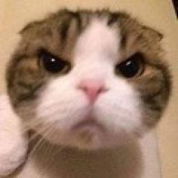 プロフ画像