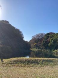 プロフ画像