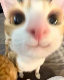 プロフ画像