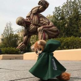 プロフ画像