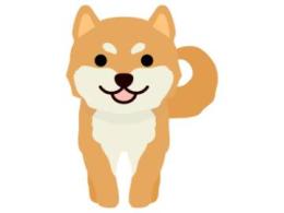 プロフ画像