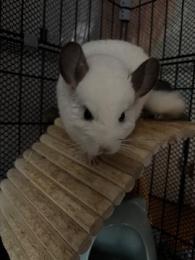 プロフ画像