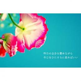 プロフ画像