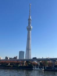 プロフ画像