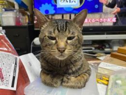 プロフ画像