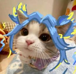 プロフ画像