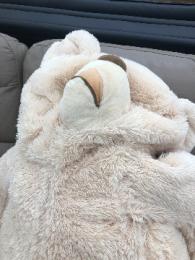 プロフ画像