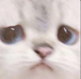 プロフ画像