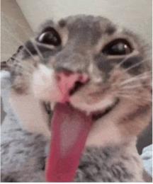 プロフ画像