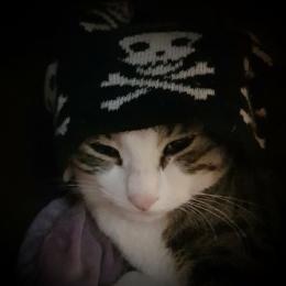 プロフ画像
