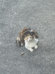 プロフ画像
