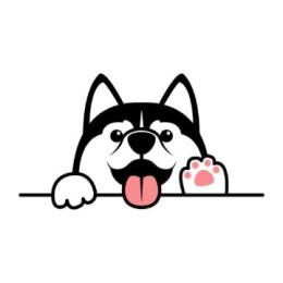 プロフ画像
