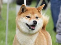 プロフ画像