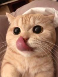 プロフ画像