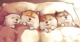プロフ画像