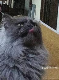 プロフ画像