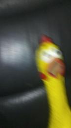 プロフ画像