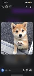 プロフ画像
