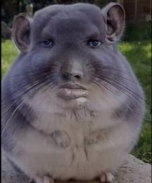 プロフ画像