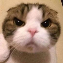 プロフ画像