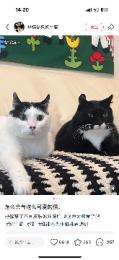 プロフ画像