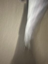 プロフ画像
