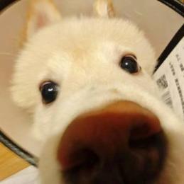 プロフ画像