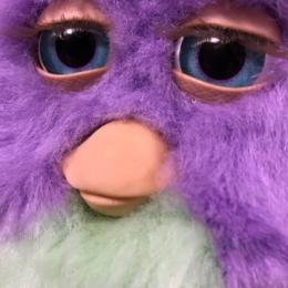 プロフ画像