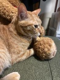 プロフ画像