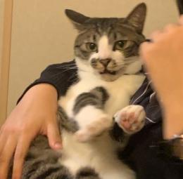 プロフ画像