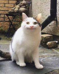プロフ画像
