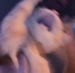 プロフ画像