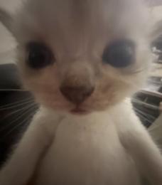プロフ画像