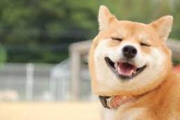 プロフ画像