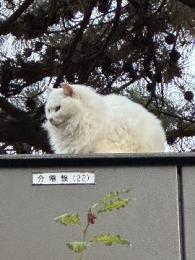 プロフ画像