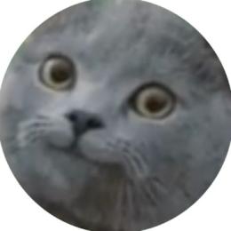 プロフ画像