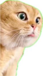プロフ画像