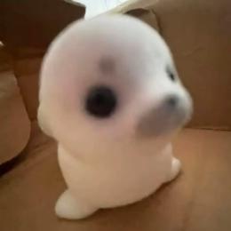 プロフ画像