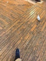 プロフ画像