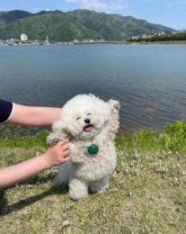 プロフ画像