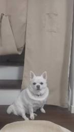 プロフ画像
