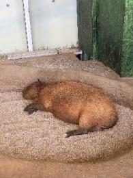 プロフ画像
