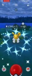 プロフ画像